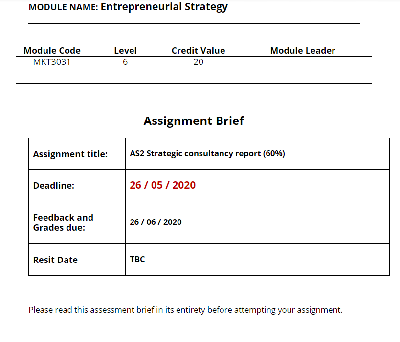 Entrepreneurial Strategy Assignment Sample