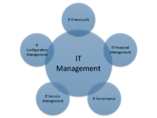 IT management