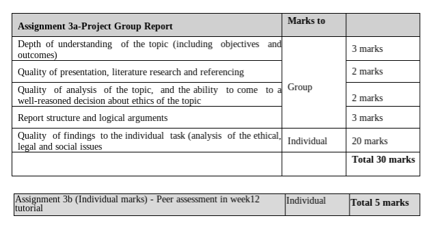 marking rubric for IT assignment
