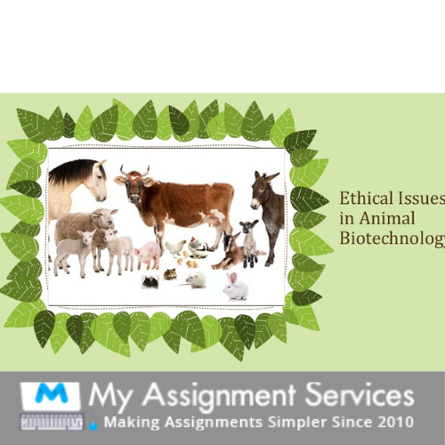 Animal Biotechnology Assessment Help