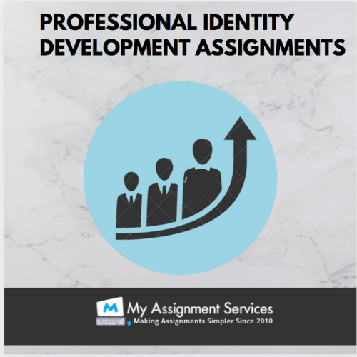 Identity Development Assignment Services