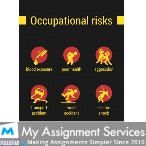 Occupational Health And Safety Assignment Services