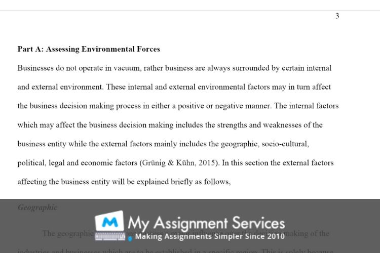 international business environment assessment sample