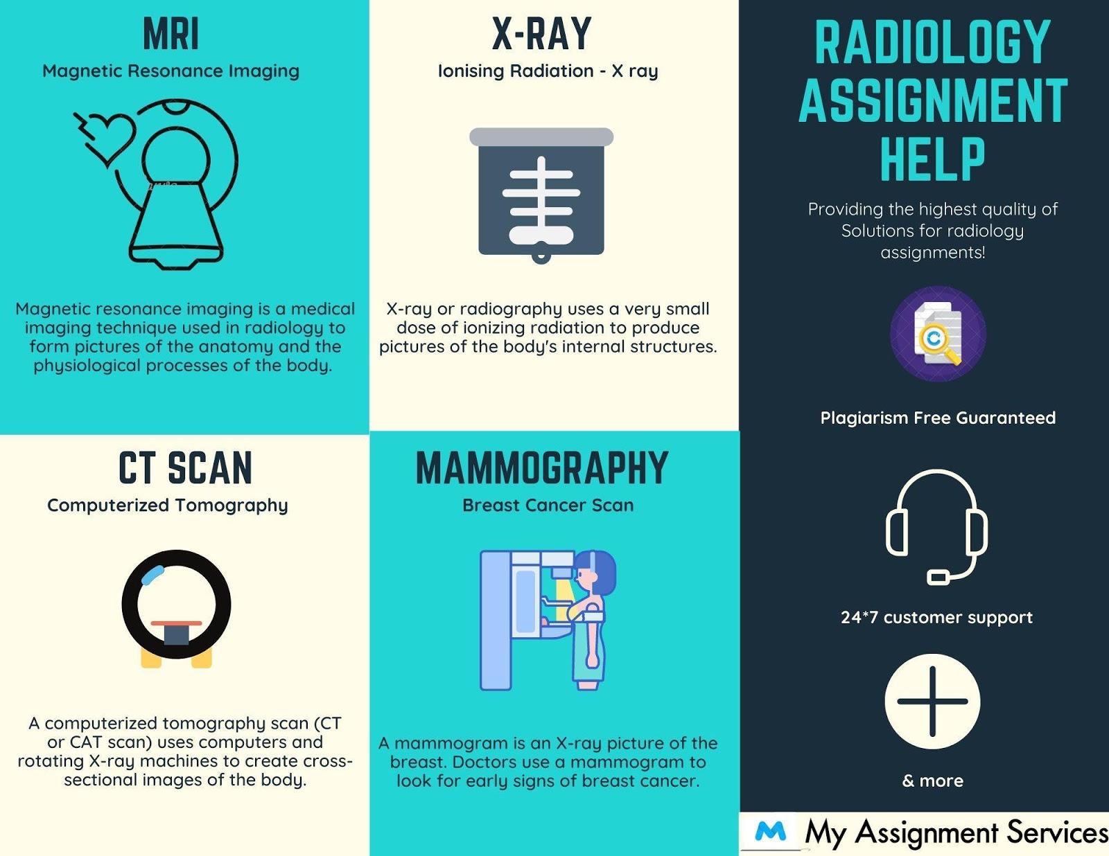 Radiography and Radiology Assignment Help