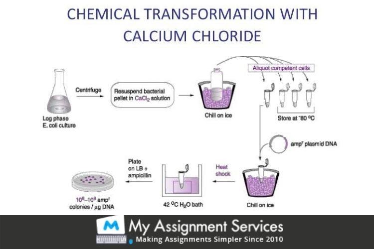 Chemical Transformation with calcium chloride