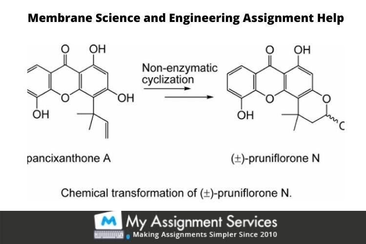 Membrane Science and Engineering Assignment Help