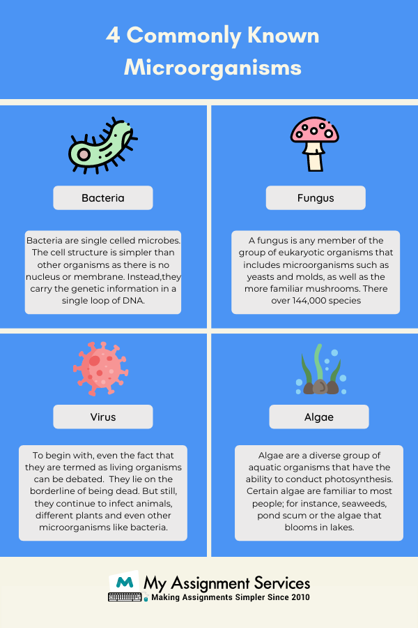 4 Commonly Known Microorganisms