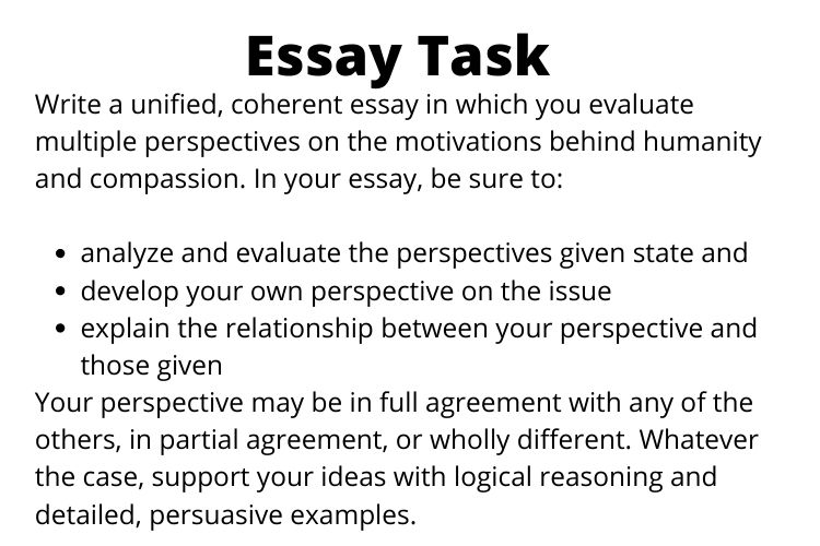 essay task