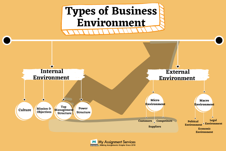 types of business environment