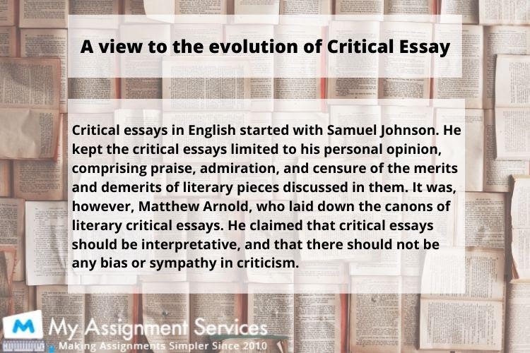 Critical Essay Examples and Samples