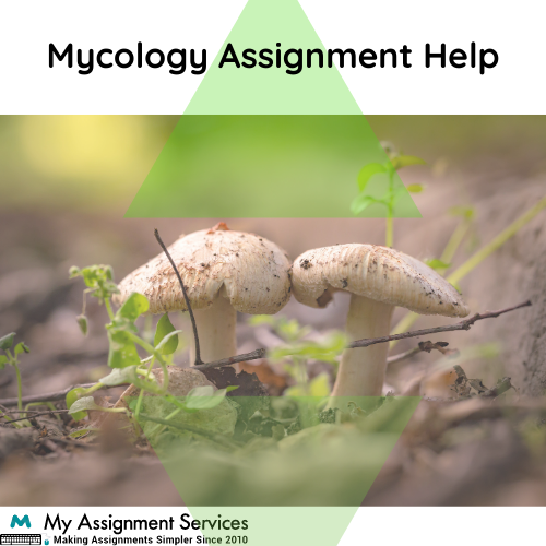 Mycology Assignment help