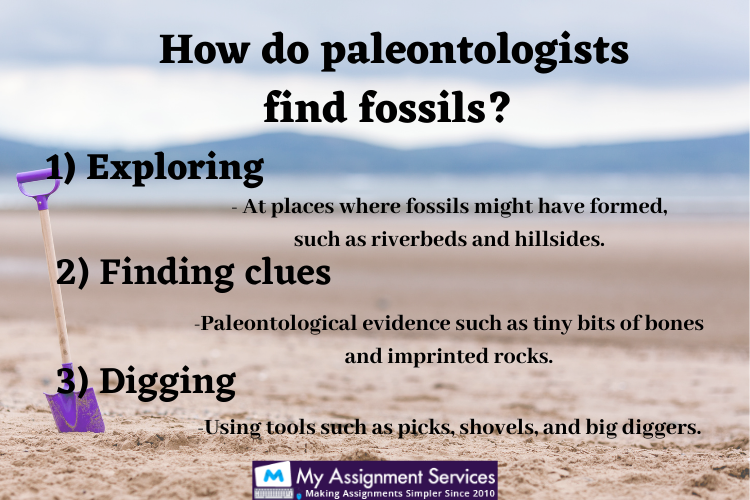 Paleontology Homework Help