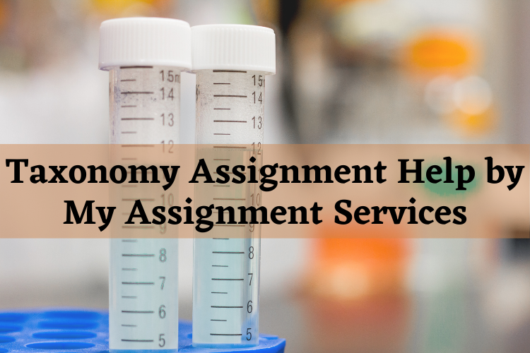 Taxonomy Assignment Help
