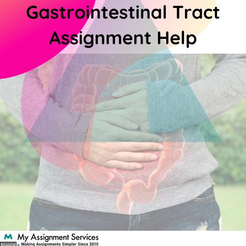 Gastrointestinal Tract Assignment Help