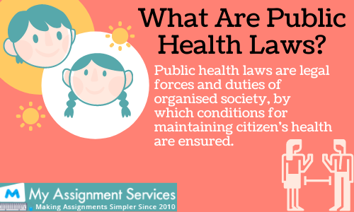Public Health Law Assignment Help