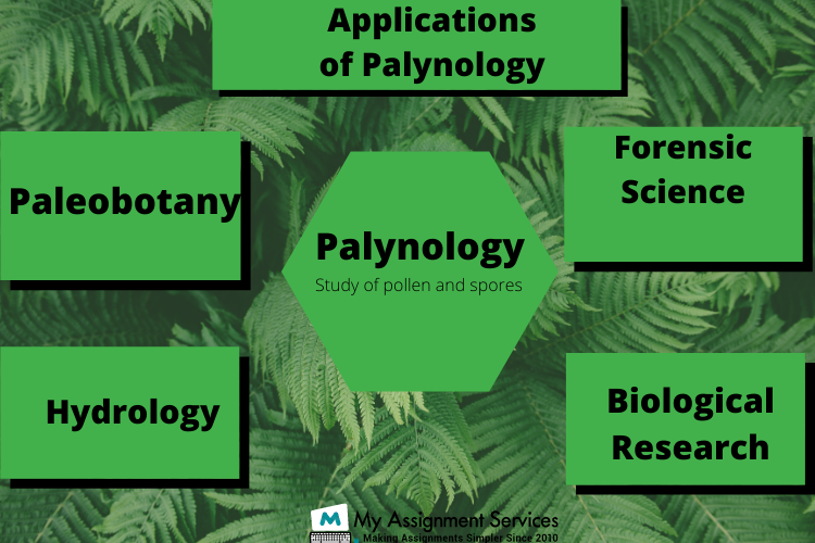 Palynology Assignment Help