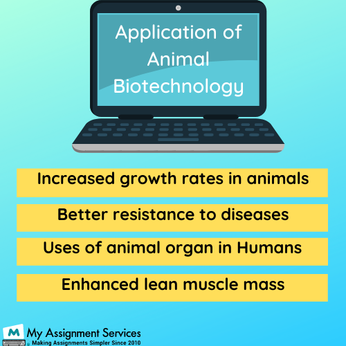 Animal Biotechnology Homework 
