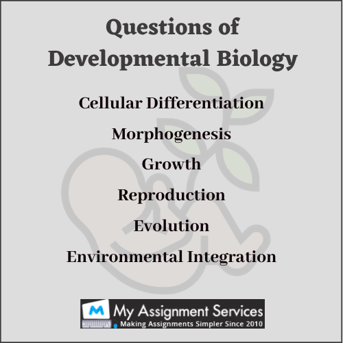Developmental biology Assignment help