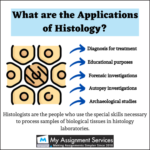 Histology Assignment help usa