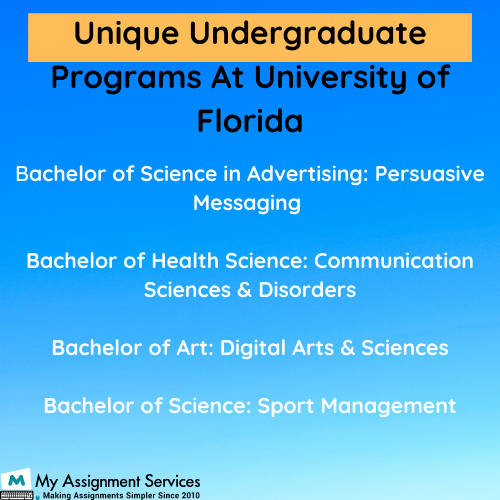 Unique Undergraduate