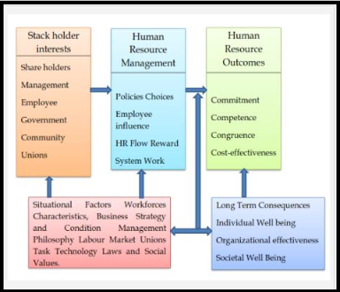 Flow chart of The Harvard Model of HRM