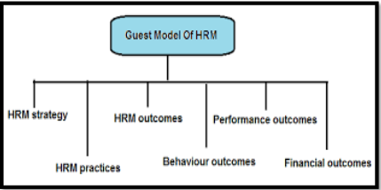 Flow chart of The Guest Model of HRM