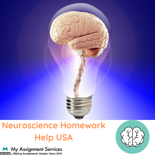 Neuroscience Homework Help USA