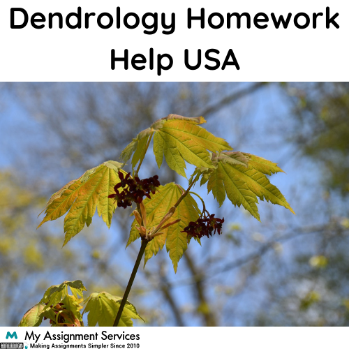 Dendrology Homework Help USA