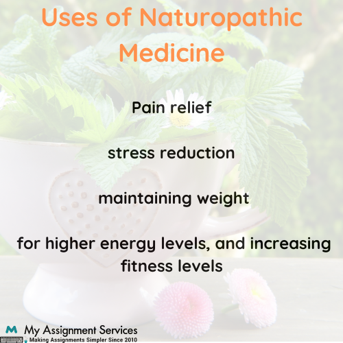 Naturopathic Medicine Assignment Sample