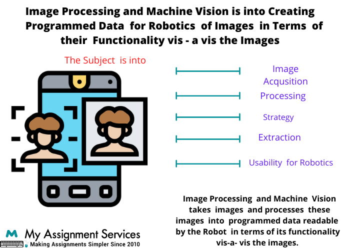  Image Processing and Machine Vision assignment services