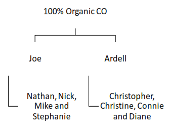 image shows Organization Chart for Business