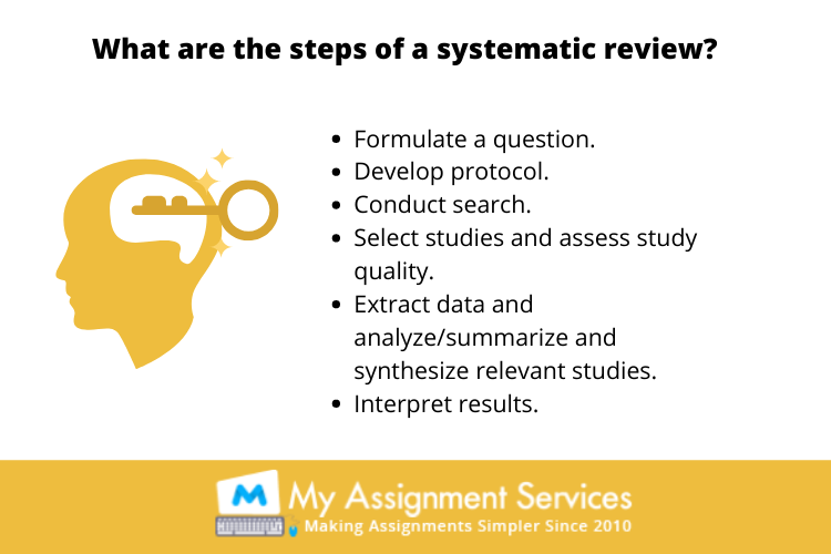 Online Systematic literature review assignment