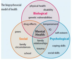 the diagram illustrates the model of psychosocial