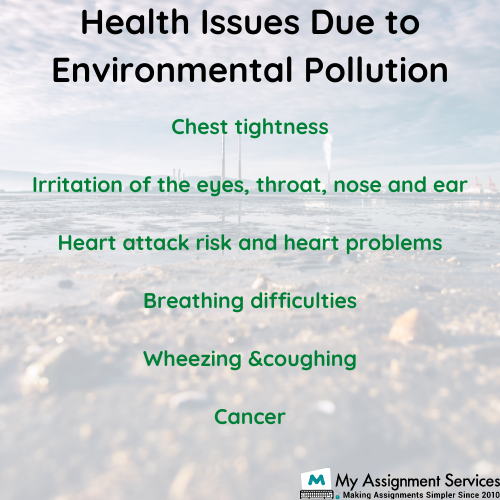 Health Issues Due to Environmental Pollution