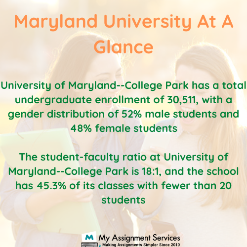 Maryland University Assignment Service