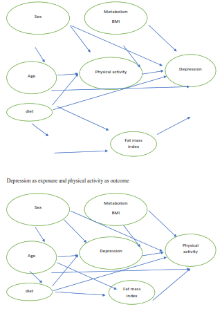 Image shows ER diagram of Physical Activity and Depression
