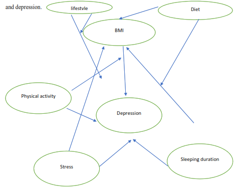 Image shows ER diagram of Depression and BMI