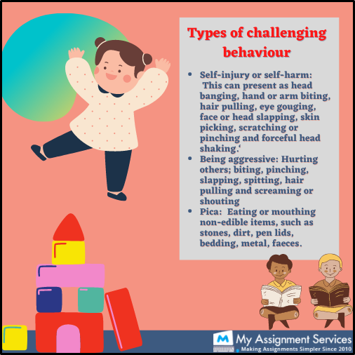 Types of challenging behaviour
