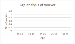 graph shows age analysis of workers