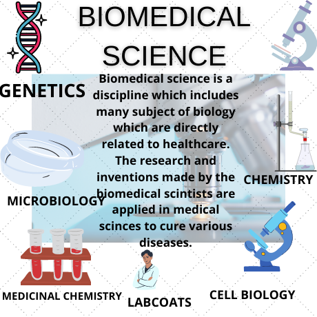 Biomedical sciences Homework 