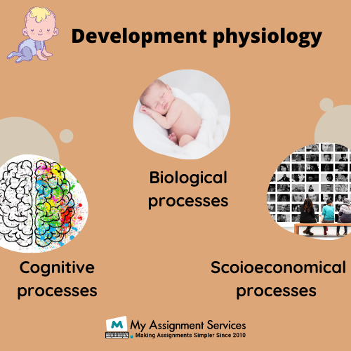 Developmental physiology Homework Help USA