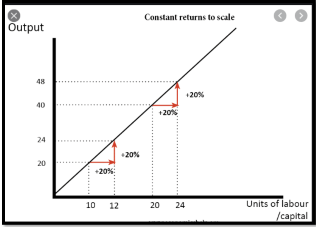 graph shows constant returns to scale