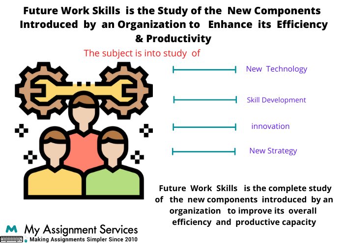 Future Work Skills Assignment Help Sample