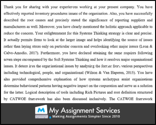 MGT603 Systems Thinking part B2