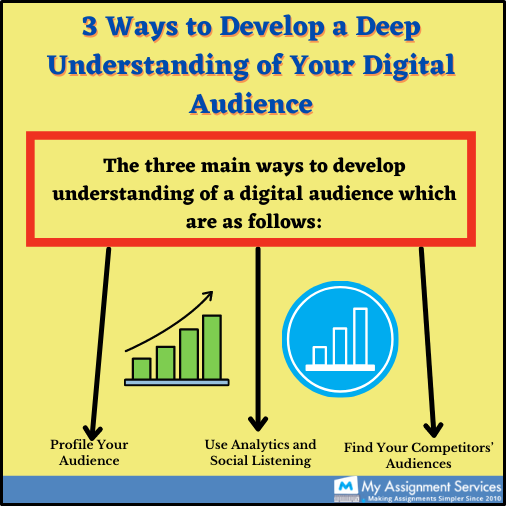 understanding digital audience