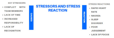 Stressor and stress reaction