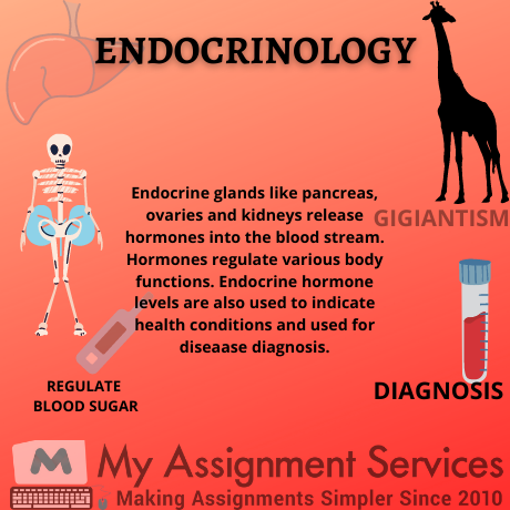 Endocrinology Homework Help