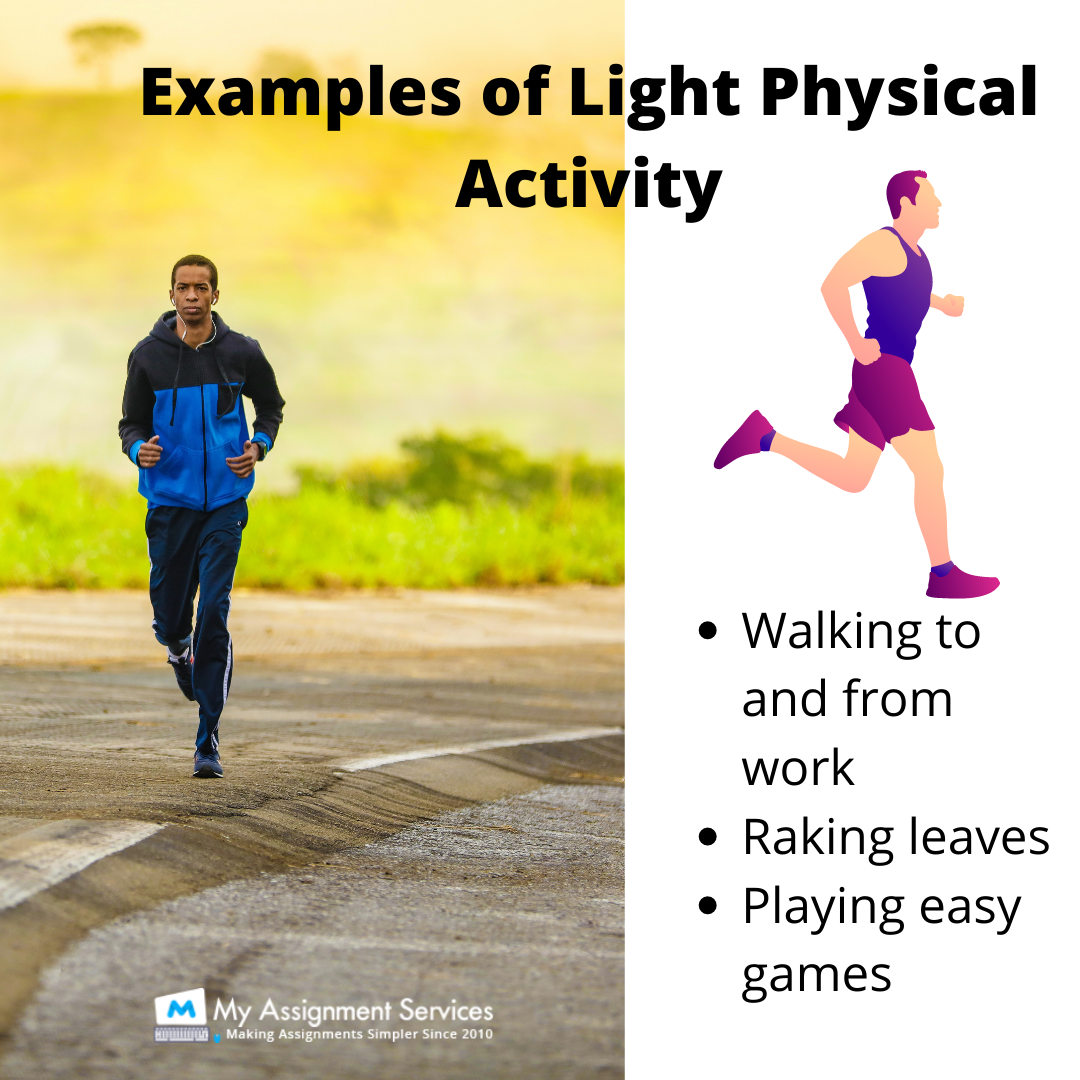 Physical Activity Level Assignment Report Writing Help