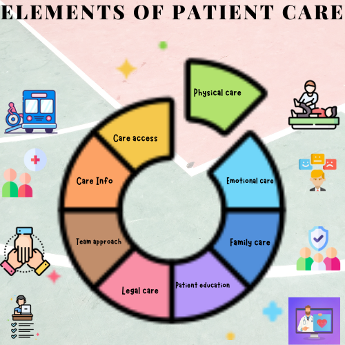 elements of patient care