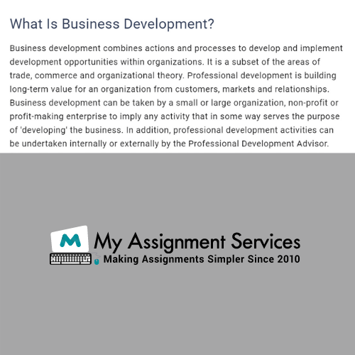 Business Development Assignment Help Online